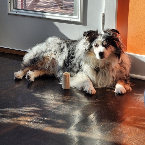 Meet your Posher, Angella - Picture 3 of 5